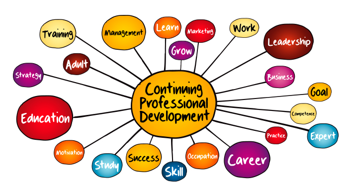 Professional Dev