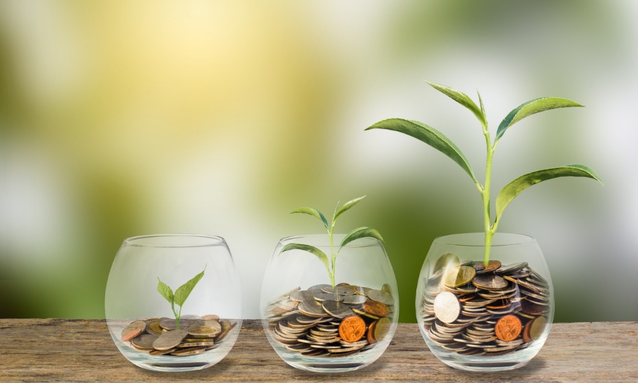 Financial Wellness