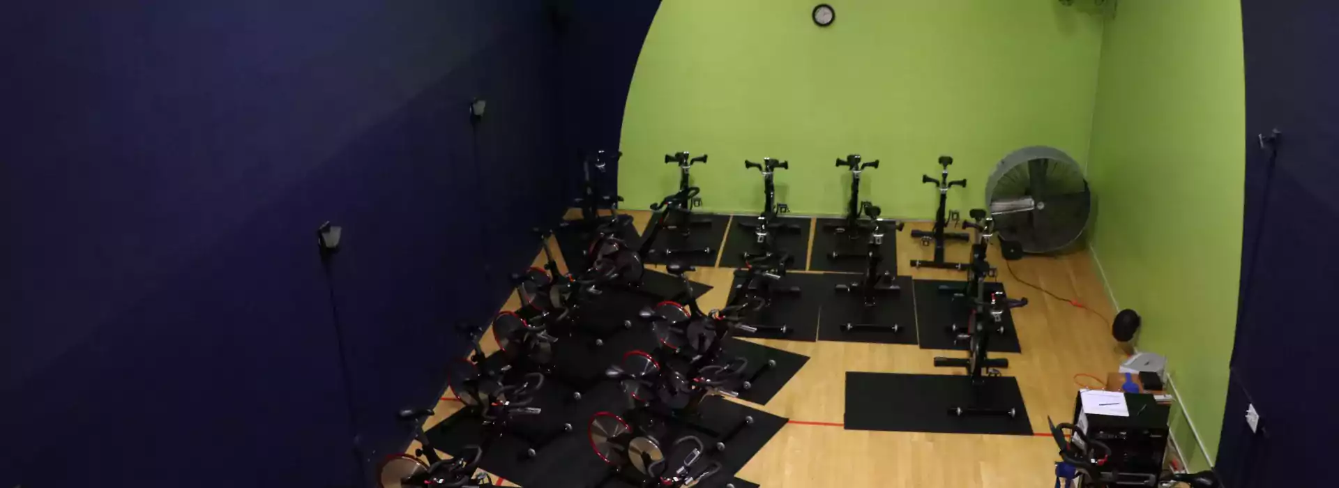 cycle studio, arnold y