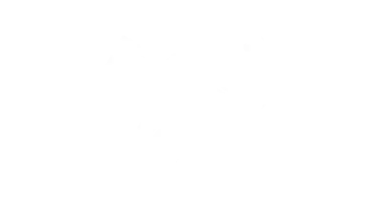 Y Maryland Hiring Process